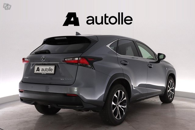 Lexus NX 13