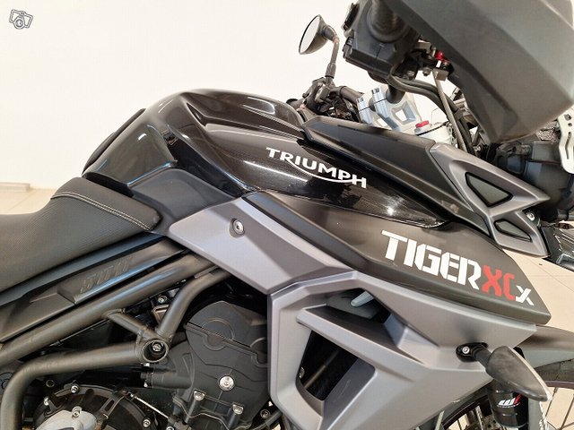 Triumph TIGER 6