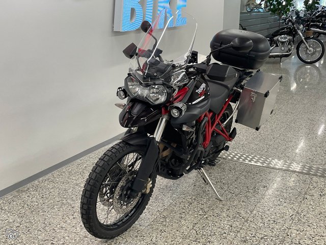 Triumph TIGER 7