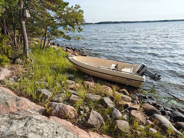 Terhi Sea fun, Evinrude 20 hp 2