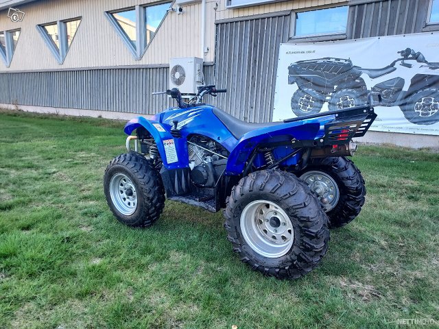 Yamaha Wolverine 8