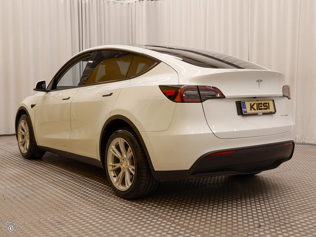 Tesla Model Y 19