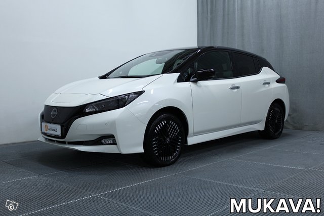 Nissan Leaf 1