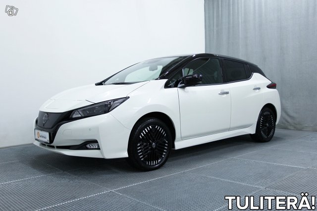 Nissan Leaf 1