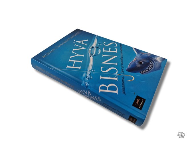 Kirja (Hyvä Bisnes - Johtaminen, flow ja tarkoituk