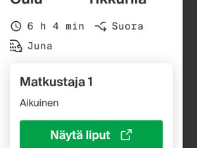 Oulu-Tikkurila 27.12. 2023 iso lemmikkipaikka , Matkat, risteilyt ja lentoliput, Matkat ja liput, Oulu, Tori.fi