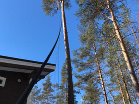 Pihapuiden puunkaatopalvelu, Palvelut, Hollola, Tori.fi Pihapuiden puunkaatopalvelu, Palvelut, Hollola, Tori.fi