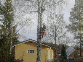 Puunkaatoa/Tonttiraivausta, Palvelut, Vihti, Tori.fi