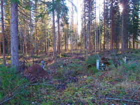 Omakotitontti Kärkölän Sopukan alueella, Tontit, Kärkölä, Tori.fi Omakotitontti Kärkölän Sopukan alueella, Tontit, Kärkölä, Tori.fi