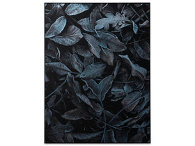 Bo Concet Nightfall-taulu 60x80cm ovh 299e, Taulut, Sisustus ja huonekalut, Turku, Tori.fi Bo Concet Nightfall-taulu 60x80cm ovh 299e, Taulut, Sisustus ja huonekalut, Turku, Tori.fi
