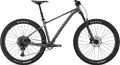 Giant fathom 29 1 2022