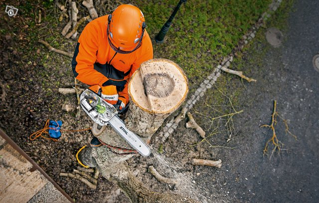 STIHL MS 201 T-C yläkahvasaha 12" 2