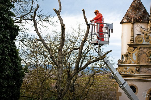 STIHL MS 201 T-C yläkahvasaha 12" 3