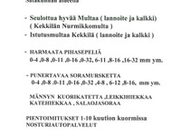 Pihasepeli Pori