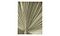 BoConcept Palm Leaf-taulu (559)
