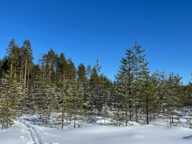 Metsää / Metsätila, Metsätilat ja maatilat, Simo, Tori.fi Metsää / Metsätila, Metsätilat ja maatilat, Simo, Tori.fi