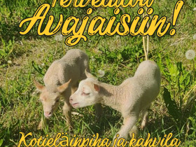 Kotieläinpiha aukeaa huopanankoskella, Palvelut, Perho, Tori.fi Kotieläinpiha aukeaa huopanankoskella, Palvelut, Perho, Tori.fi