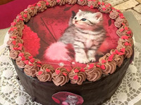 Syötävä kakkukoriste kissasta - omasta kuvasta