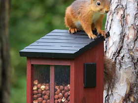 Wildlife Garden syttlaite oraville punainen, Muu piha ja puutarha, Piha ja puutarha, Nivala, Tori.fi