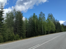 Metsäpalsta/tontti, Metsätilat ja maatilat, Sotkamo, Tori.fi