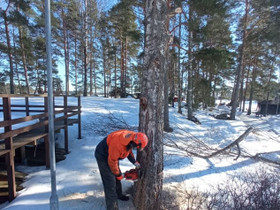 Puunkaatotyö, Palvelut, Pyhtää, Tori.fi Puunkaatotyö, Palvelut, Pyhtää, Tori.fi