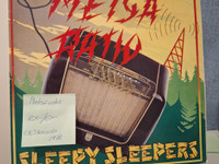 Sleepy Sleepers - Metsäratio 1978