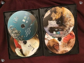 DVD: Life / Eläimet ja kasvit (4 levyä), Elokuvat, Hattula, Tori.fi DVD: Life / Eläimet ja kasvit (4 levyä), Elokuvat, Hattula, Tori.fi