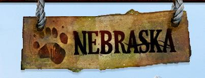 Kaupan Nebraska Outdoors Oy bannerikuva
