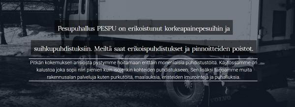 Pesupuhallus PESPU.fi