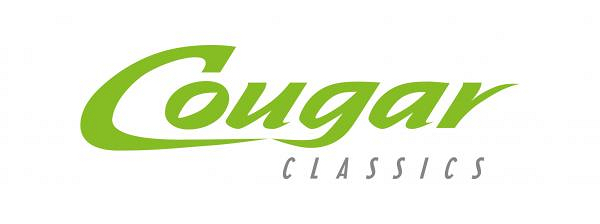 Kaupan logo, iso