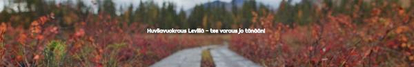 Leviday Oy