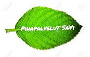 Piha -ja rakennuspalvelut SaVi