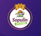 Sopulin Koti ja Lahja Oy