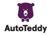 AutoTeddy